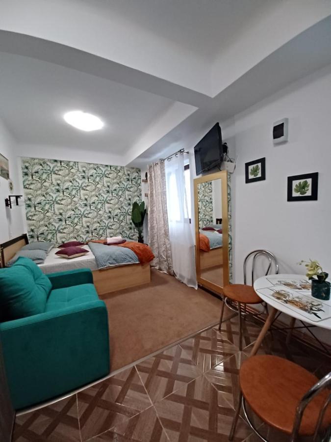 Appartement Studio Republicii à Braşov Extérieur photo