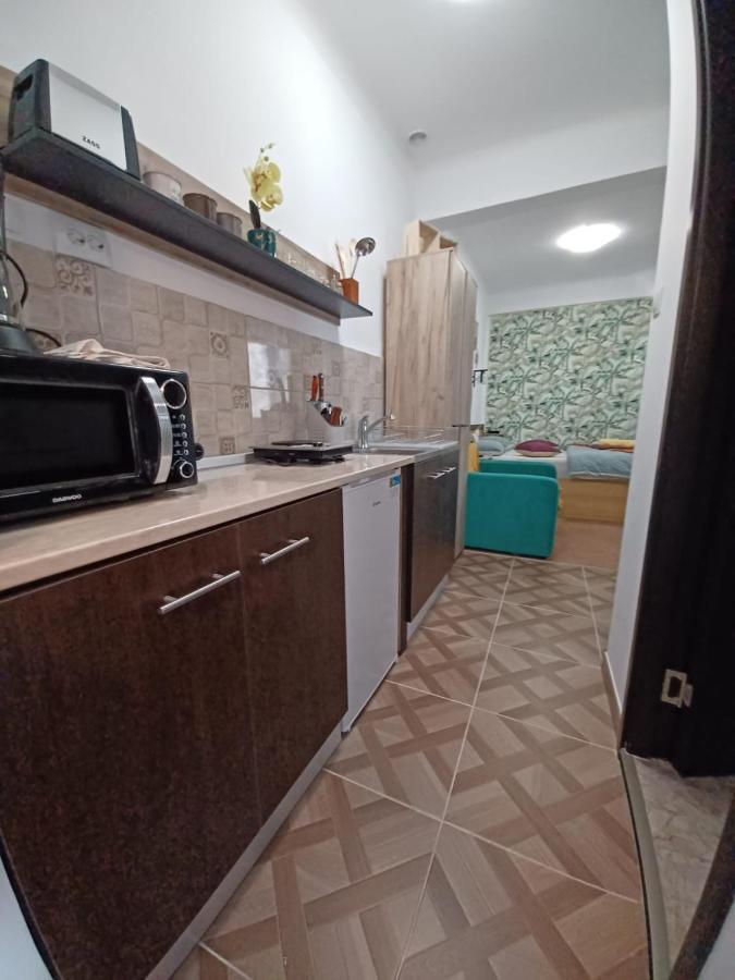 Appartement Studio Republicii à Braşov Extérieur photo
