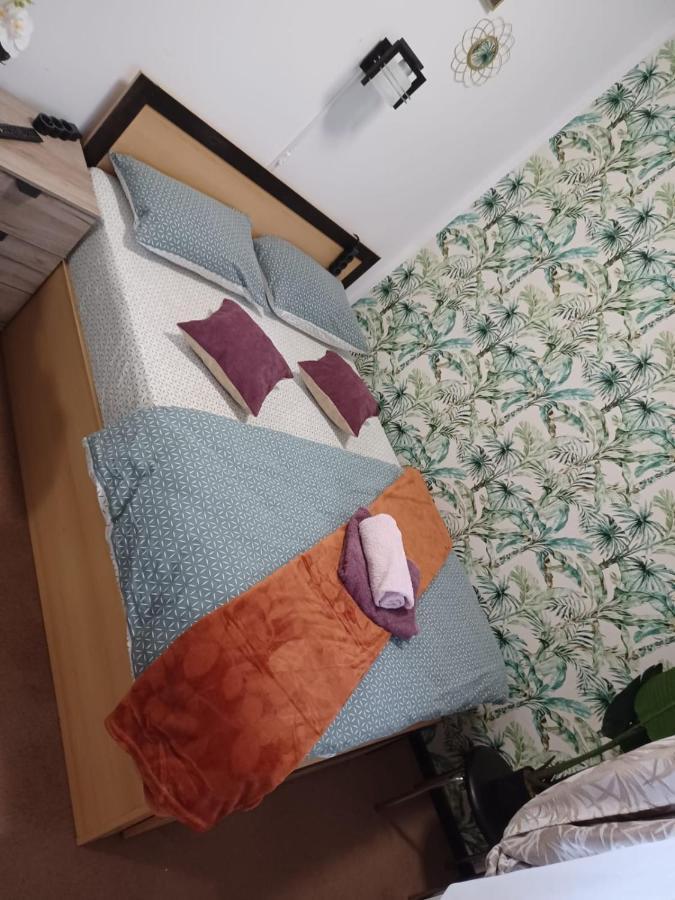 Appartement Studio Republicii à Braşov Extérieur photo