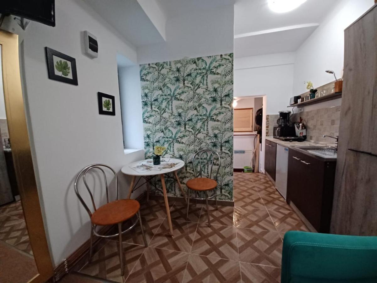 Appartement Studio Republicii à Braşov Extérieur photo
